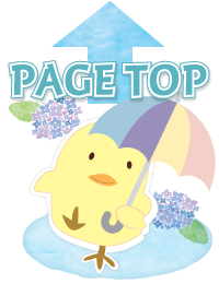 ページＴＯＰ